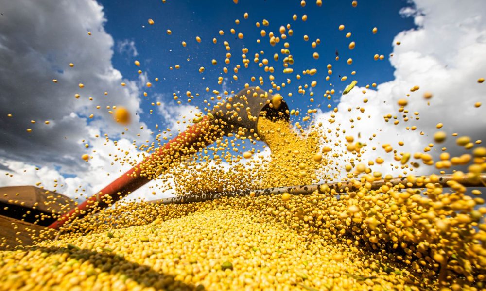 Brasil estima colheita de 354,8 milhões de toneladas de grãos